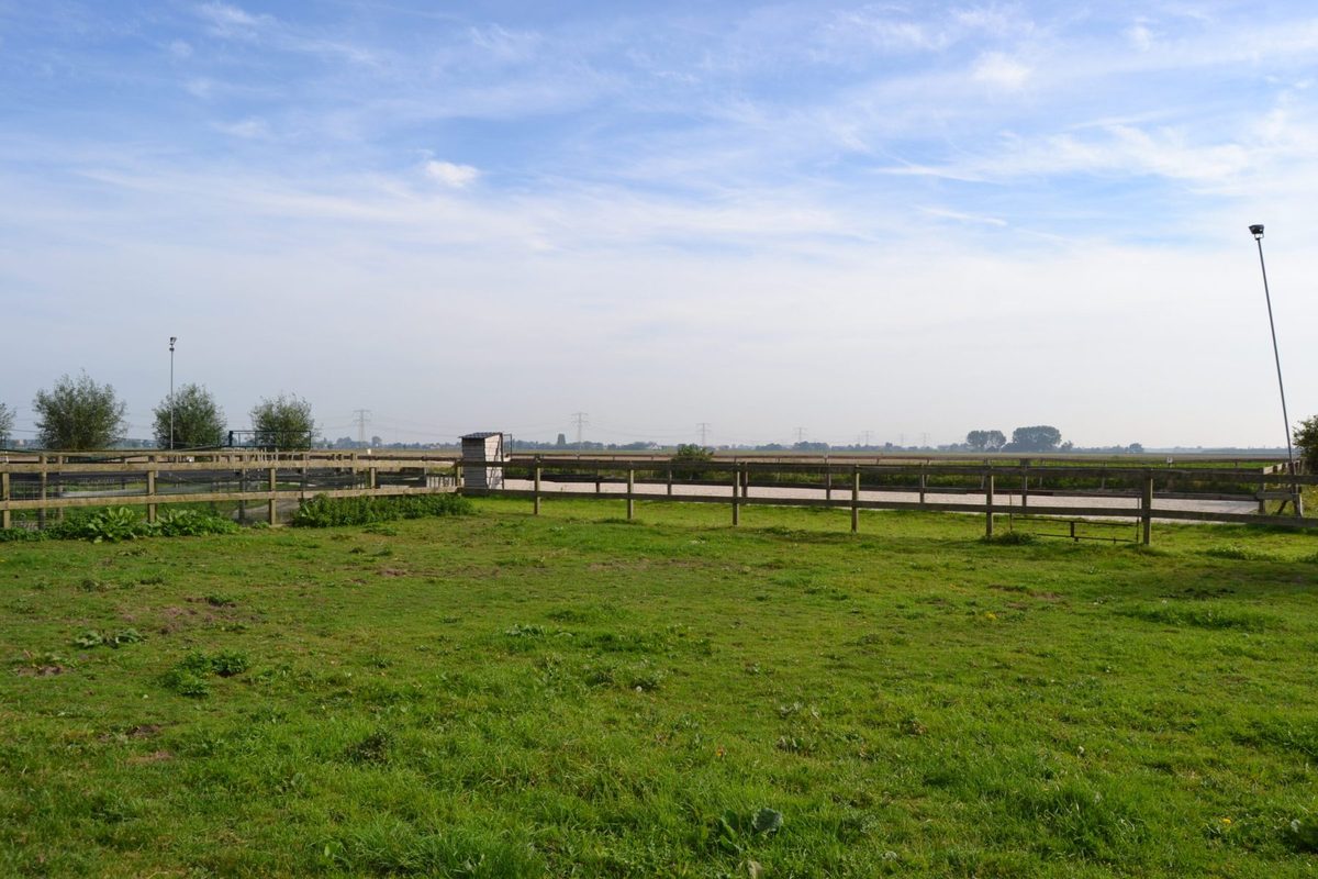 De weiden bij Oud-Beijerland